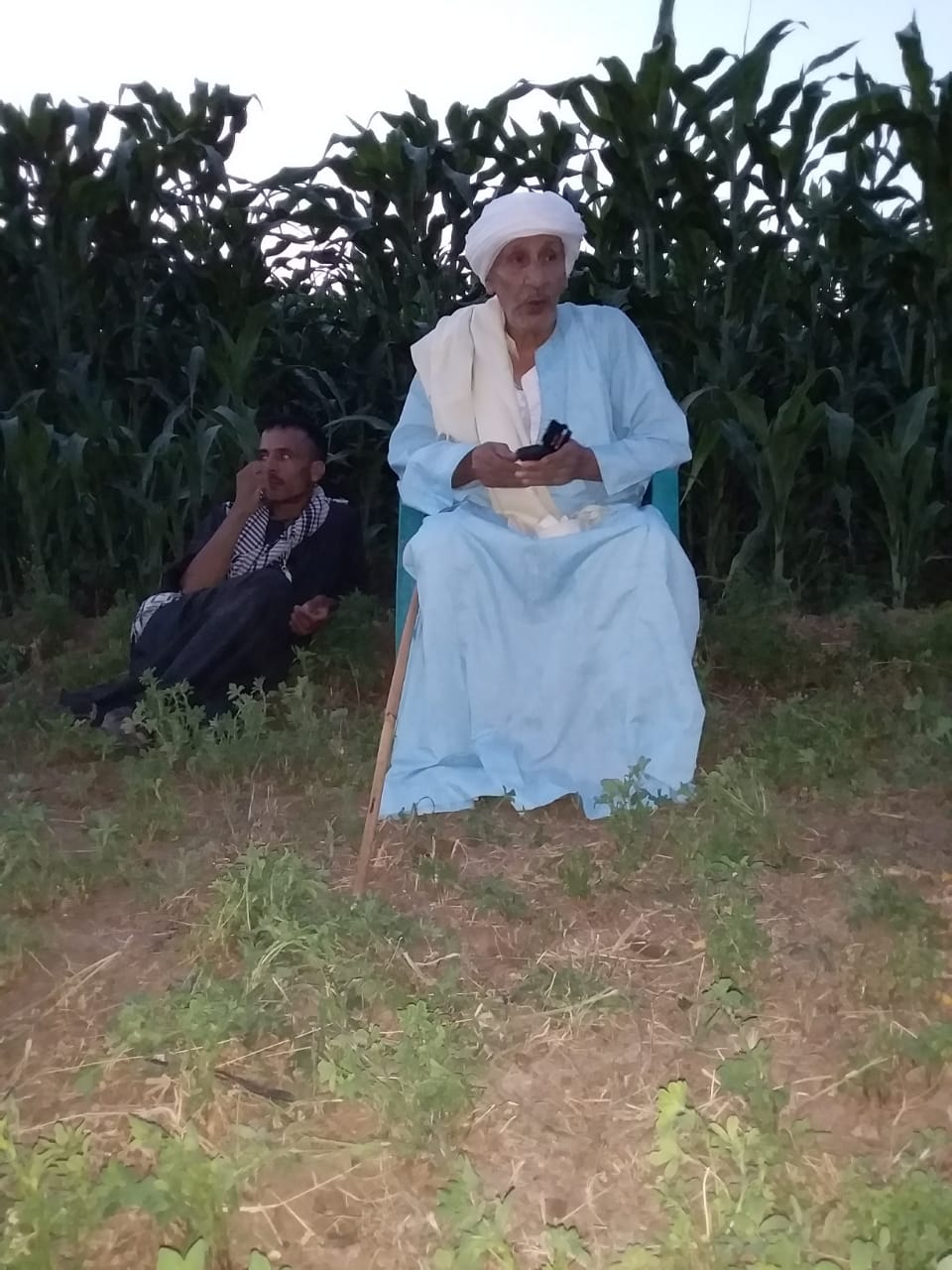 Aly1996 Profile Picture