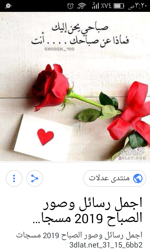 noura_taha Profile Picture