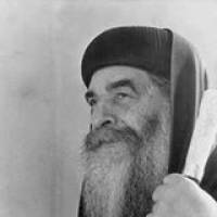 Talat Farouk Profile Picture