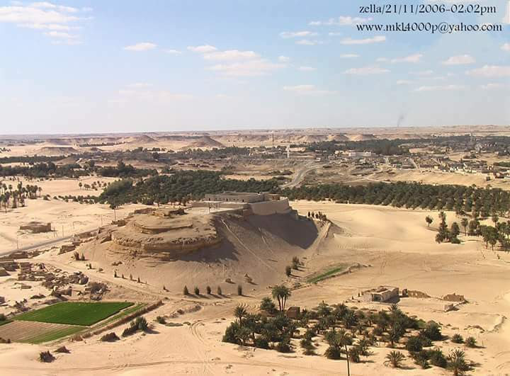 profile-240241 Profile Picture