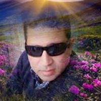 Esam Fawzi profile picture