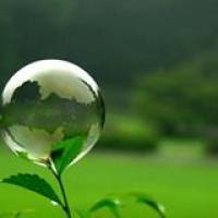 eda65df86 Profile Picture