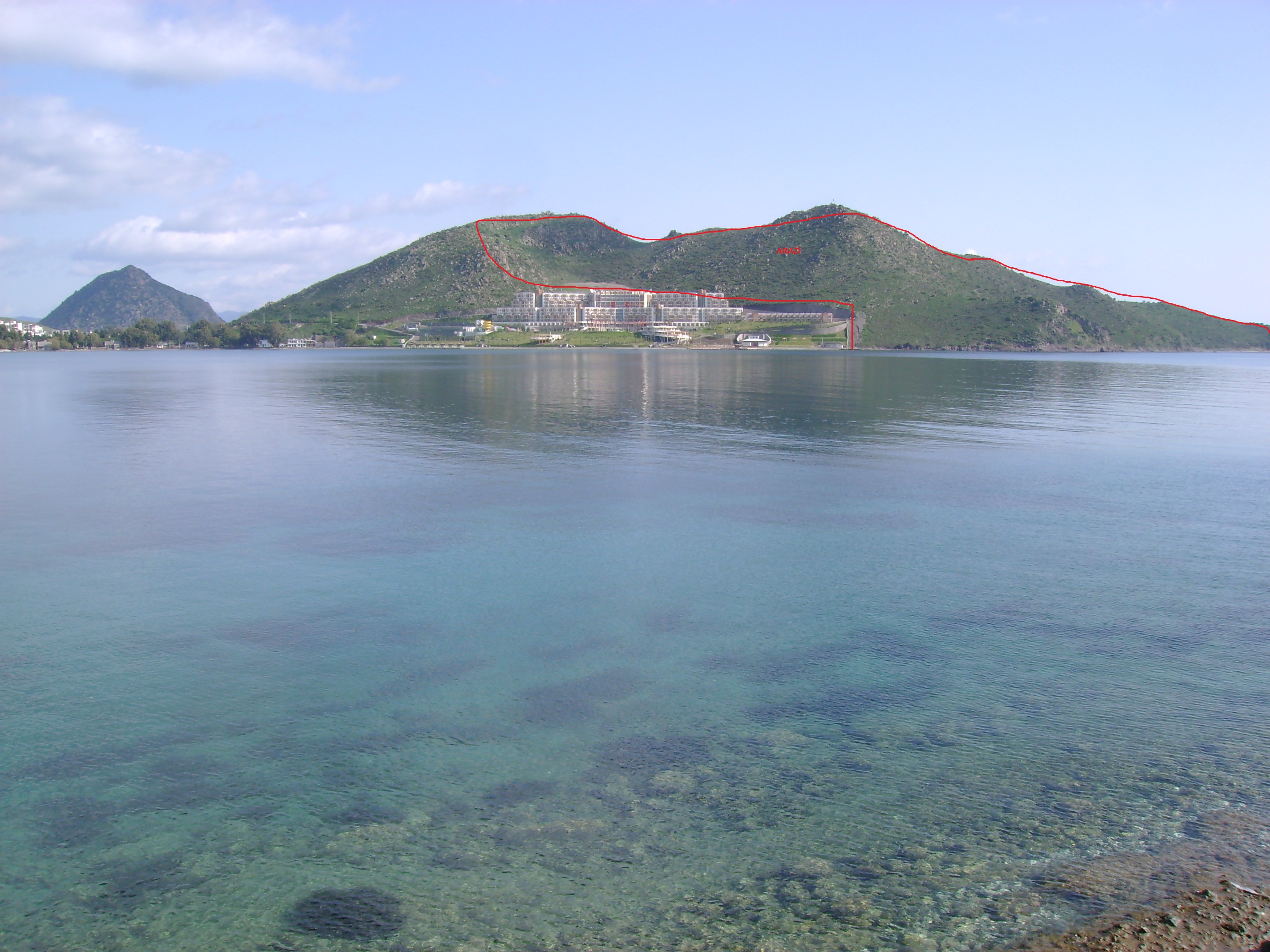 profile-237563 Profile Picture