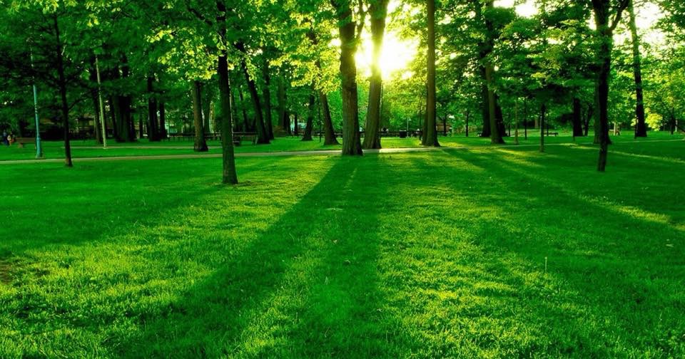 profile-240736 Profile Picture