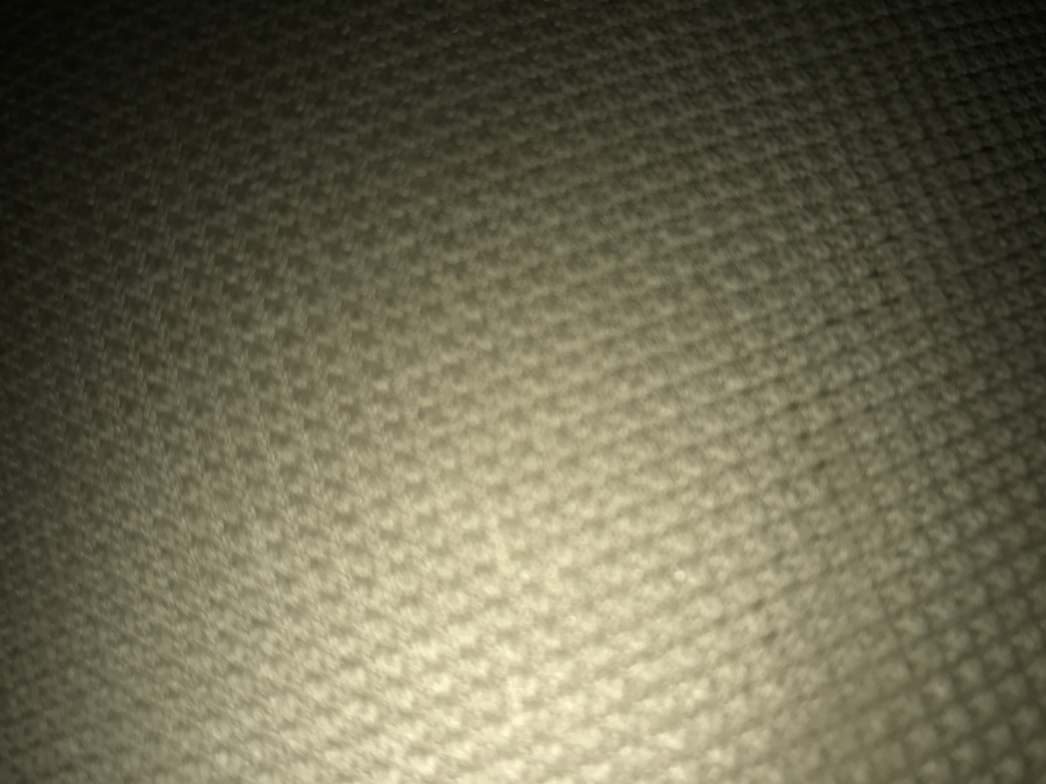 aseel0504221034 Profile Picture