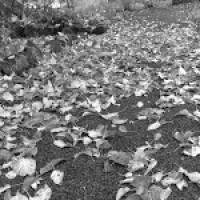 a2e8d7945 Profile Picture