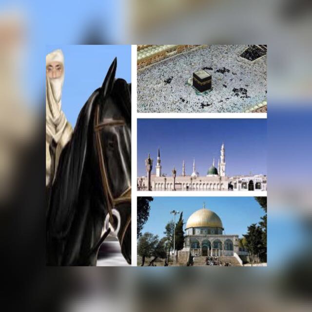 profile-232914 Profile Picture