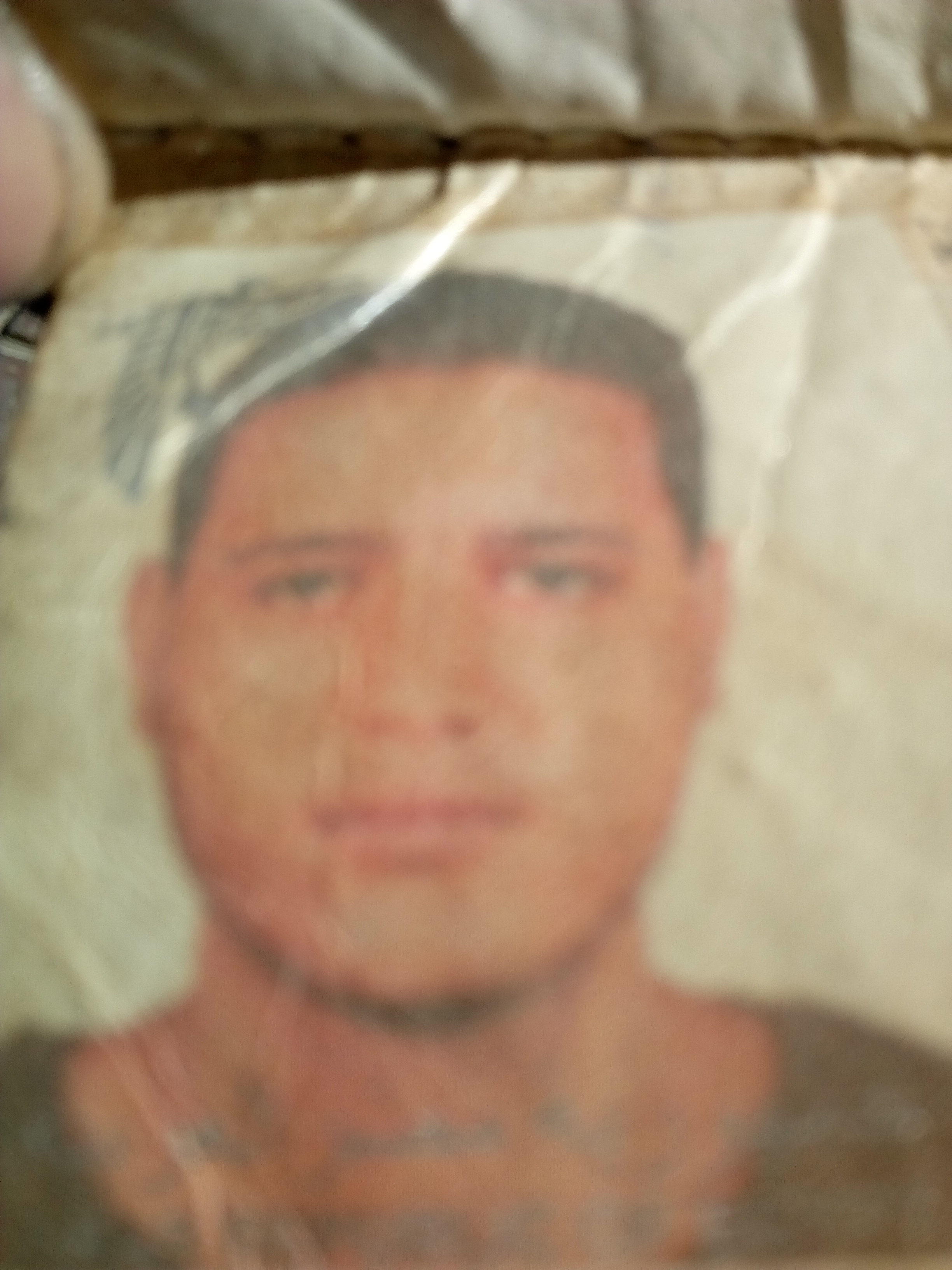 AmirSlama Profile Picture