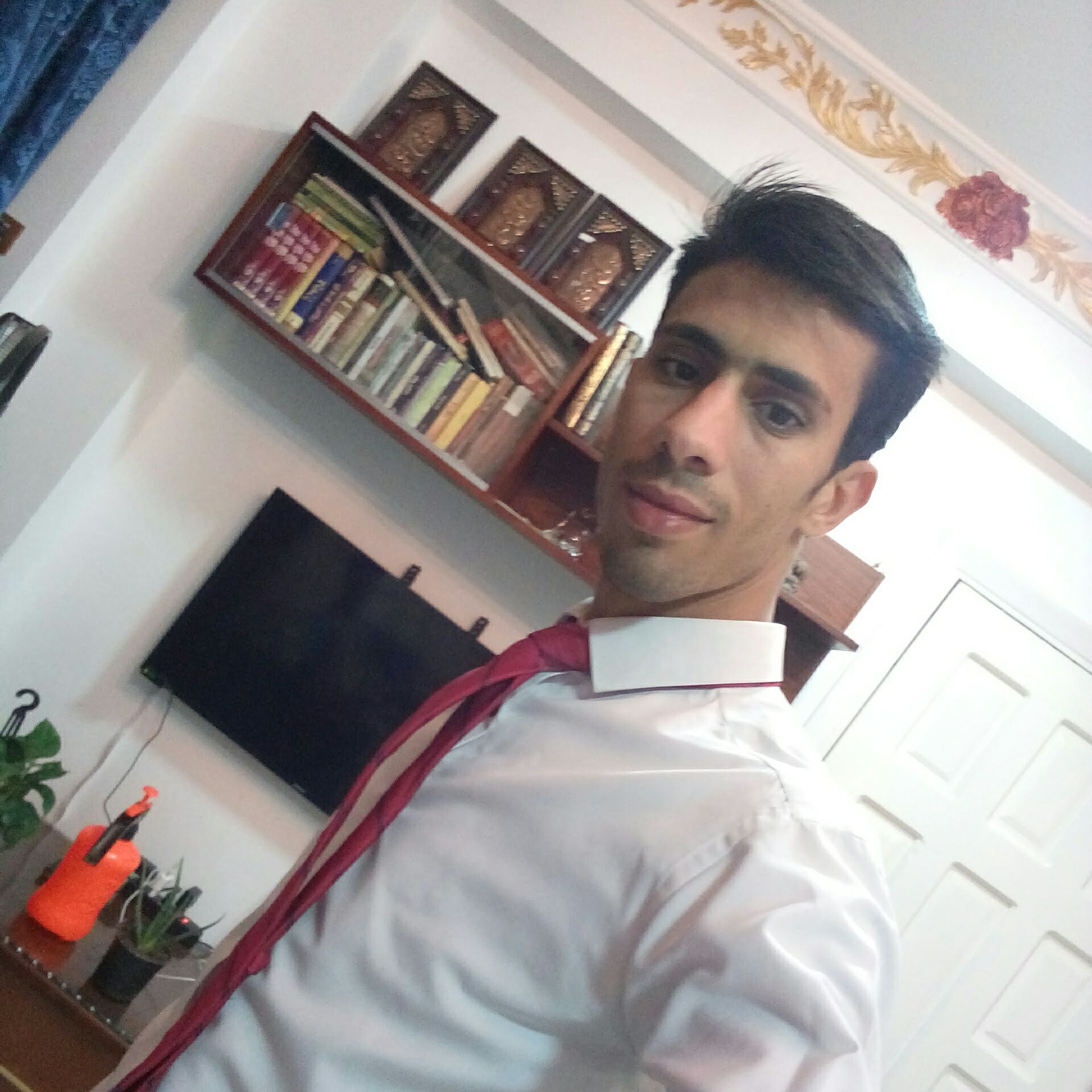 d75bda1bb Profile Picture