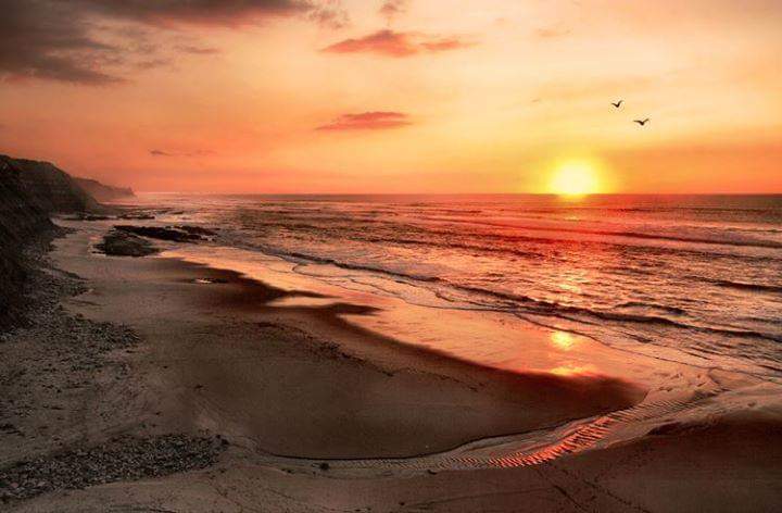 ShaimaAdu Profile Picture