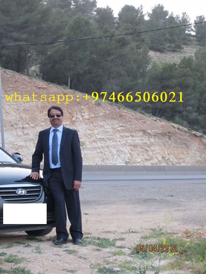 profile-236494 Profile Picture