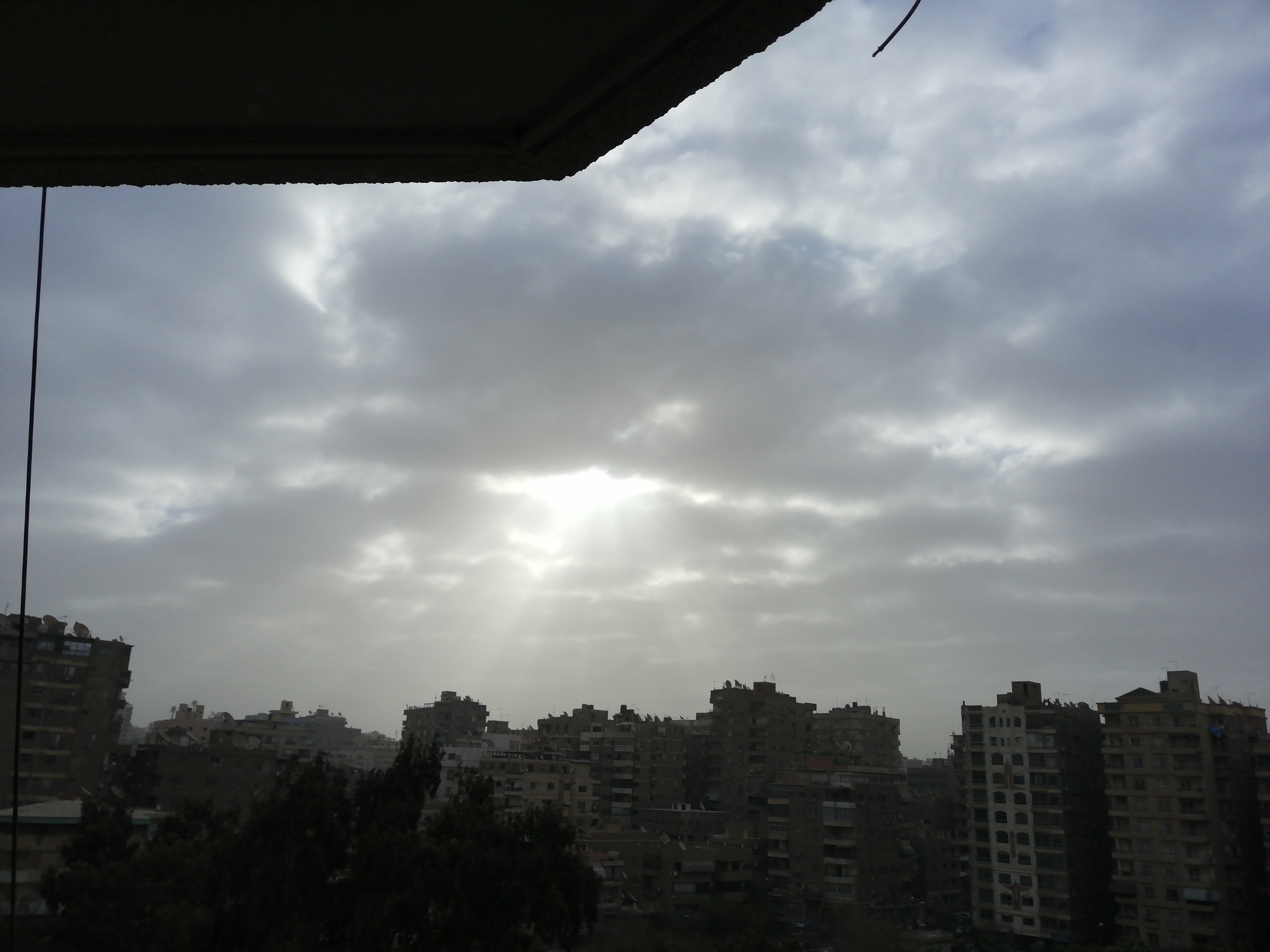 profile-227026 Profile Picture