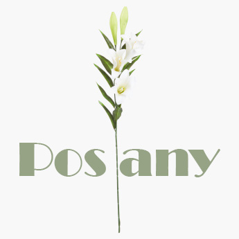 Postany بستاني Project Picture