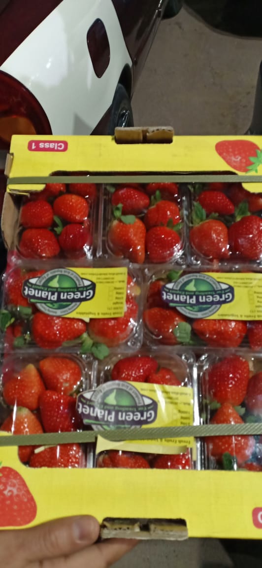 alaakhedr Profile Picture