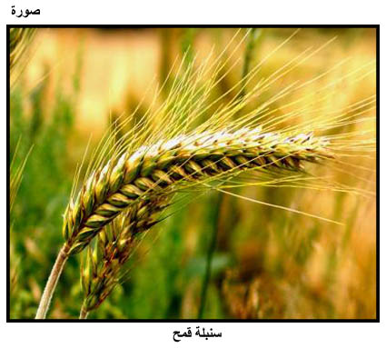 نقدر Cover Image