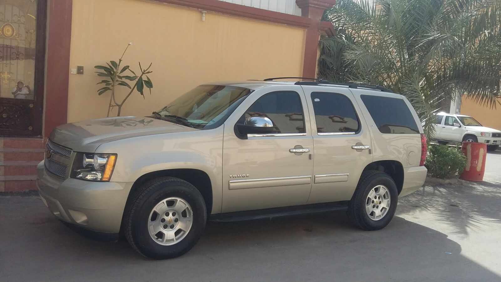 profile-227196 Profile Picture