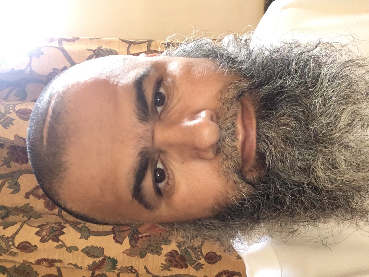 arif_heql Profile Picture