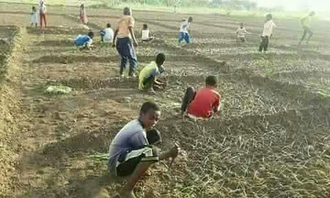 isamkh Profile Picture