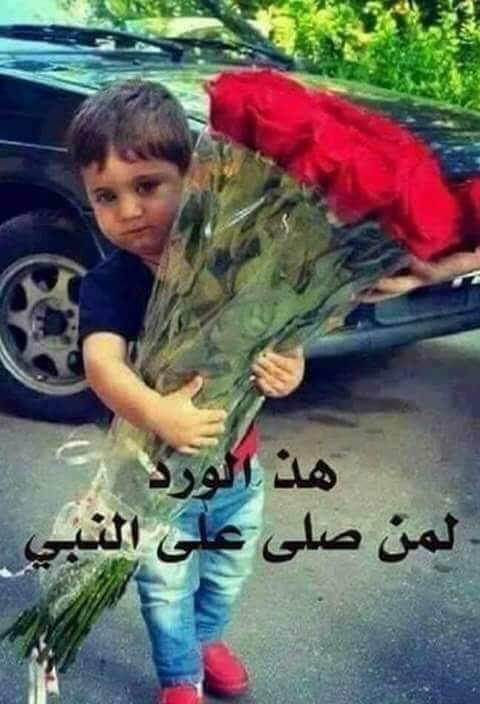 alaarabie Profile Picture