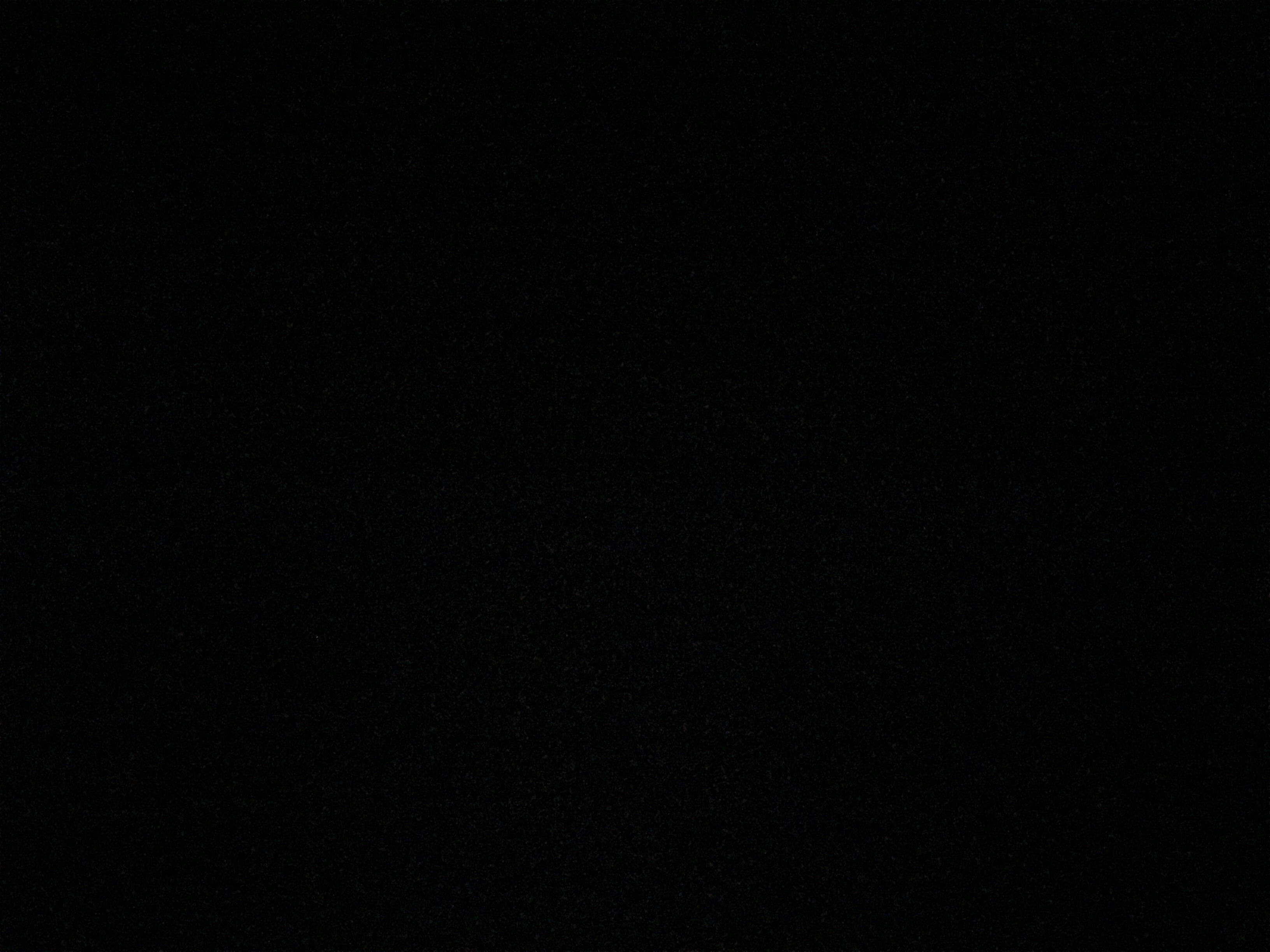 profile-211300 Profile Picture