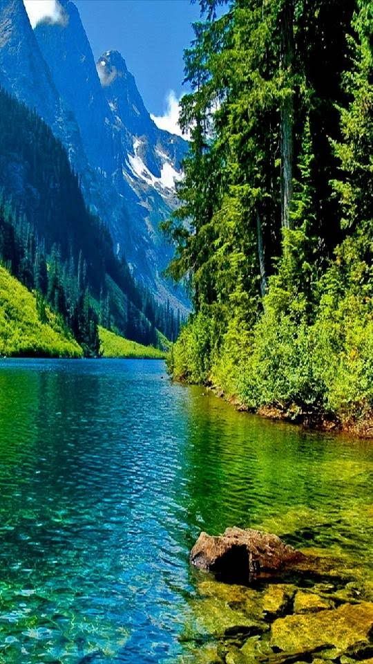 Alibnali Profile Picture