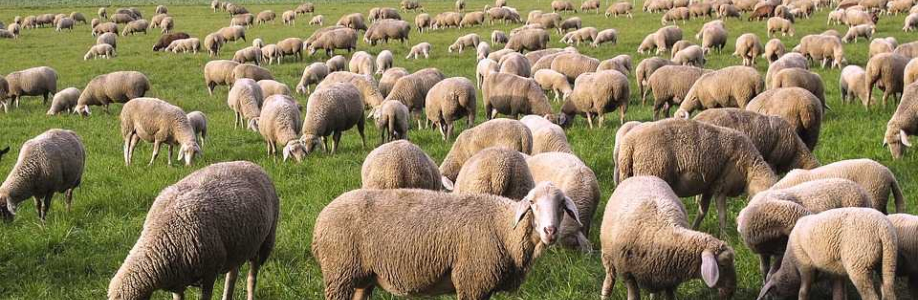 الحسين مازيغ Cover Image