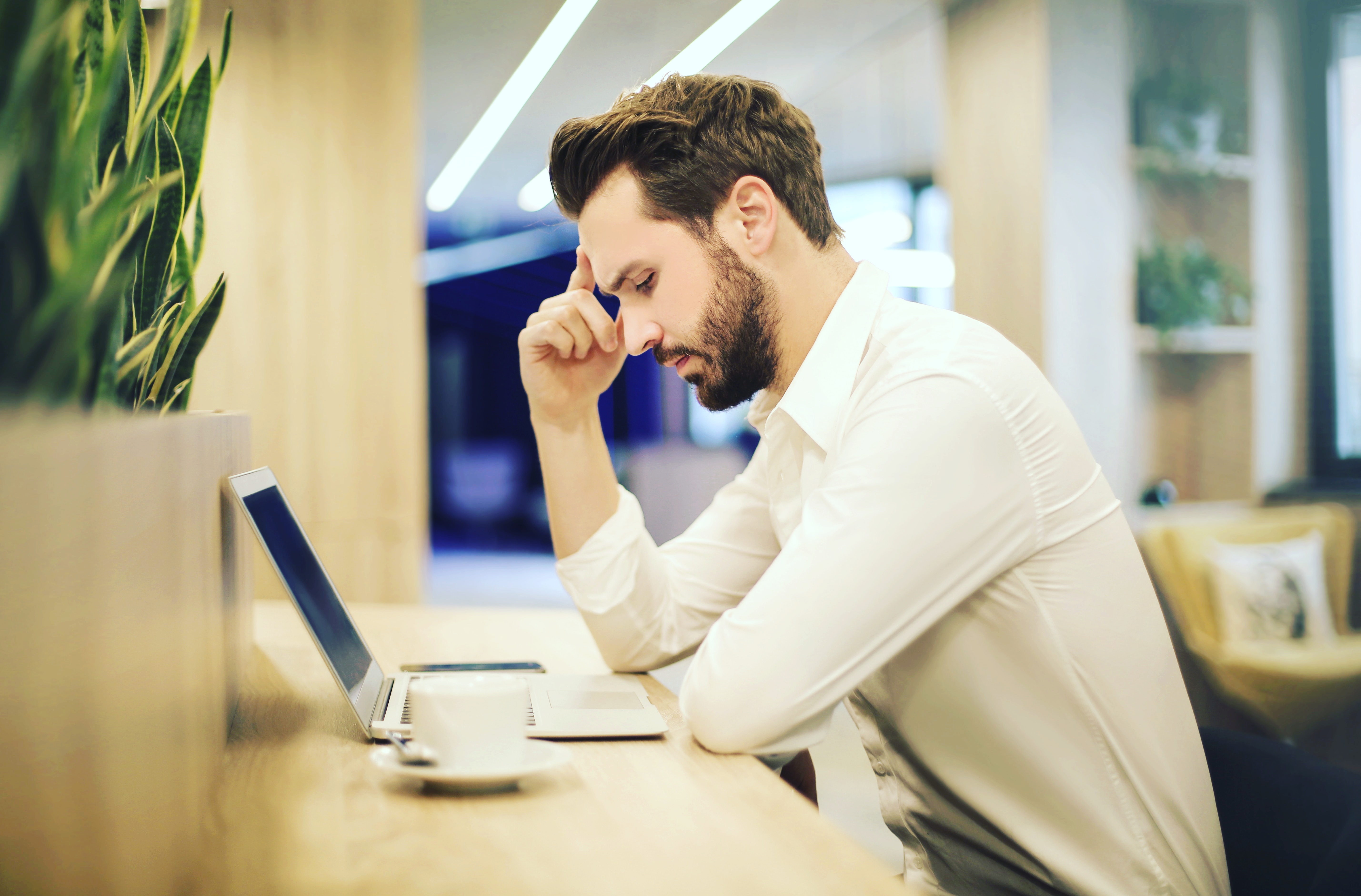 profile-235385 Profile Picture