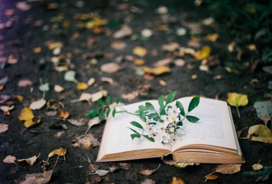 emad86 Profile Picture