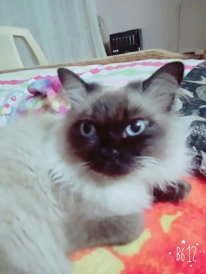 profile-151098 Profile Picture