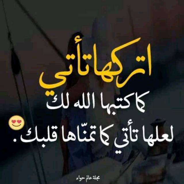 profile-232512 Profile Picture