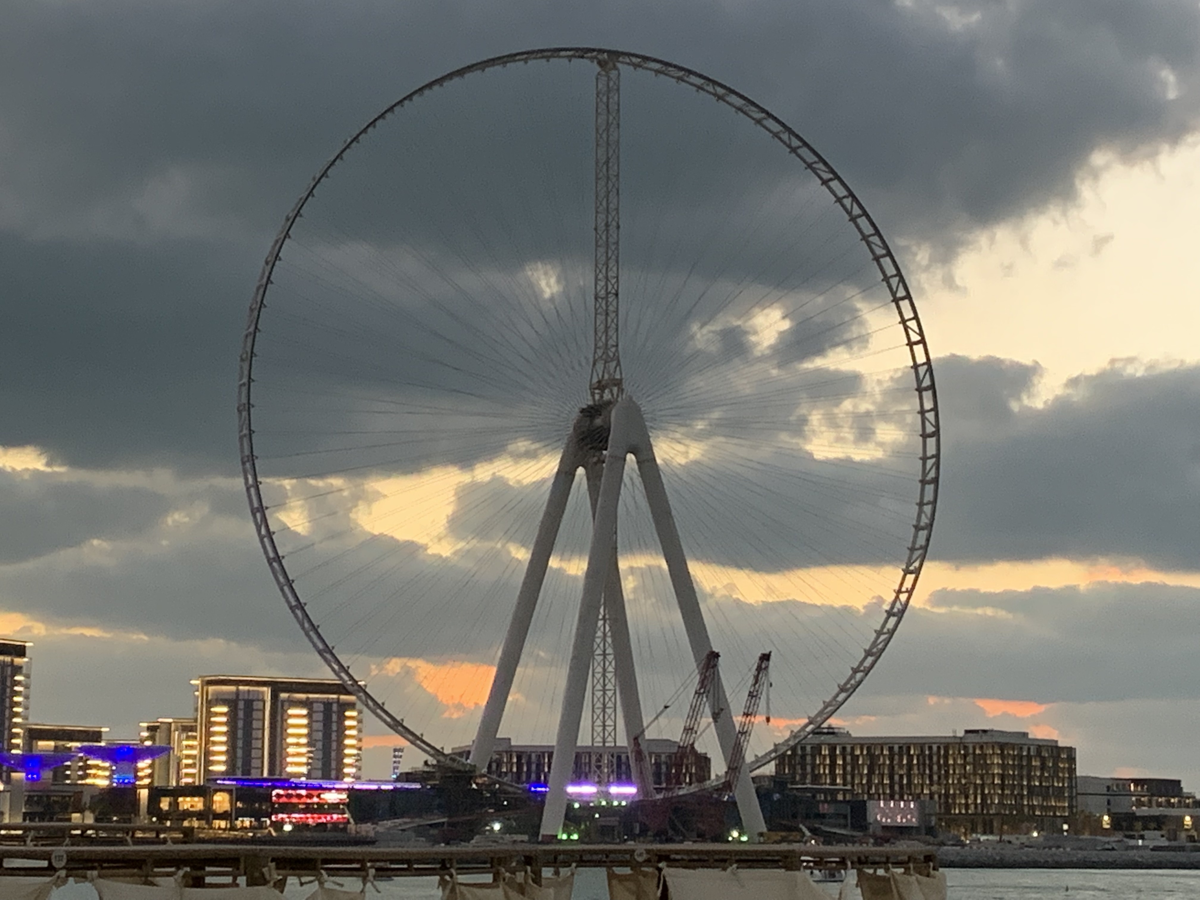 alonprince Profile Picture