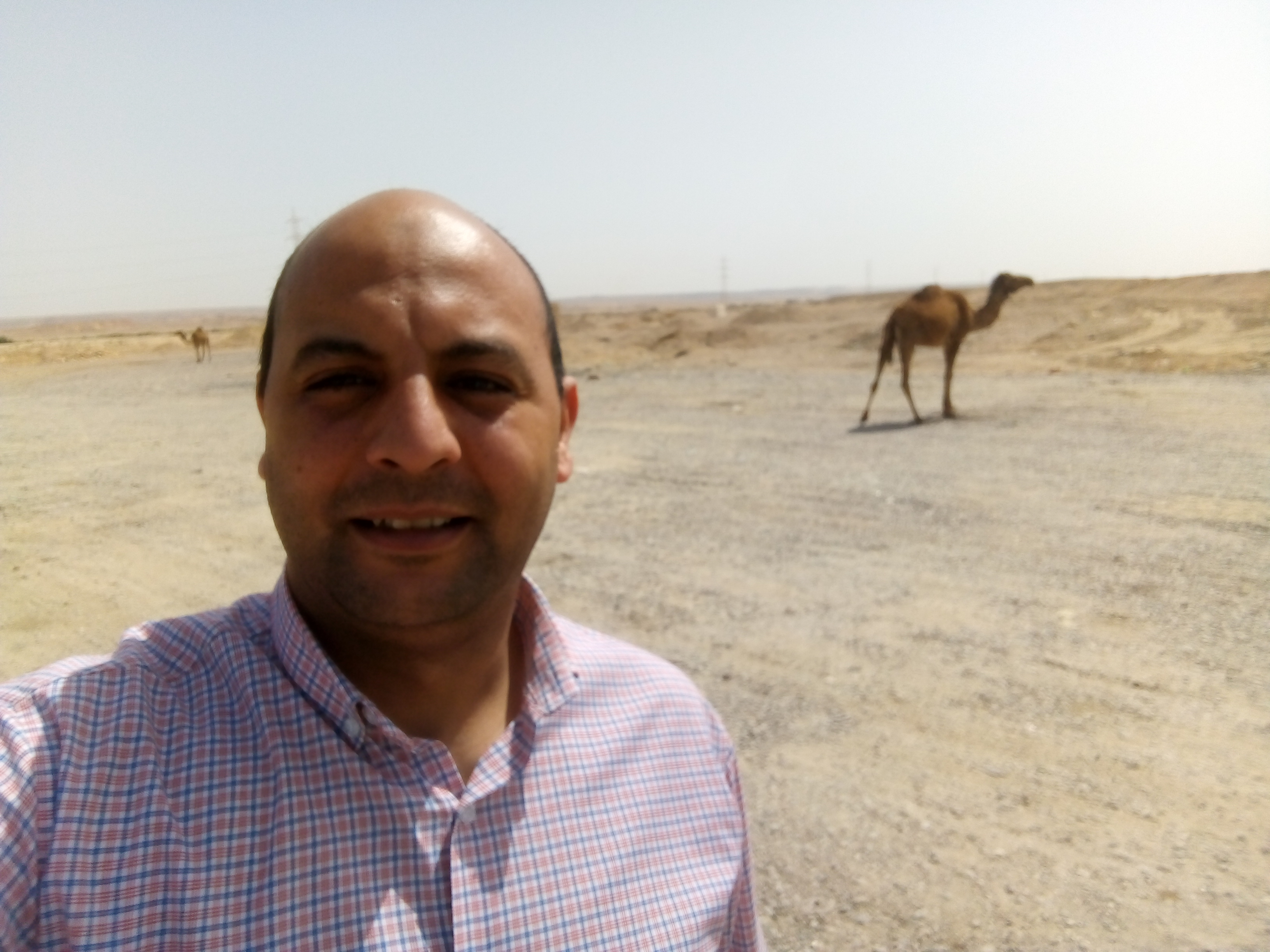 AhmedMohamedAbdelhamed Profile Picture