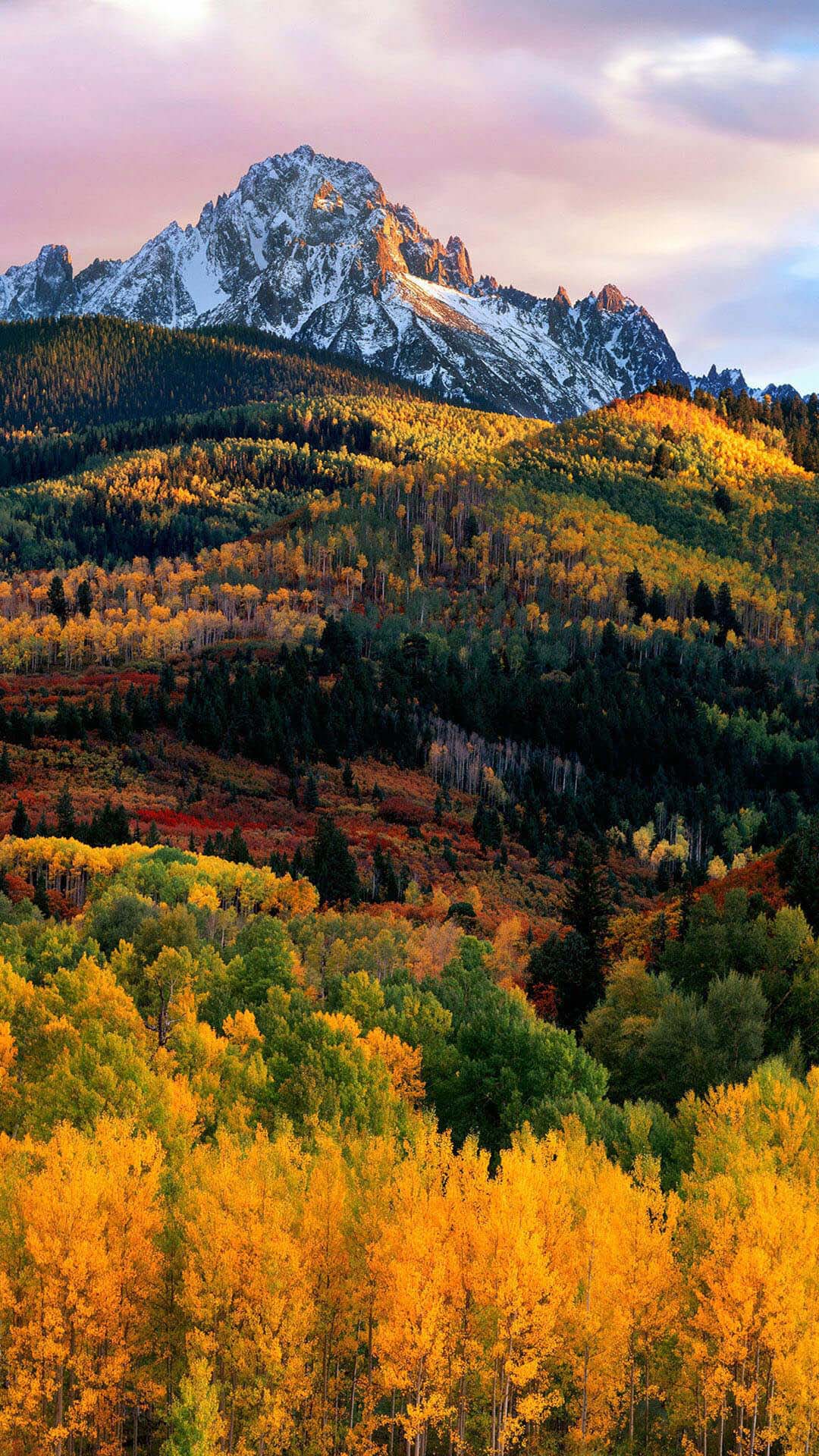 profile-192574 Profile Picture