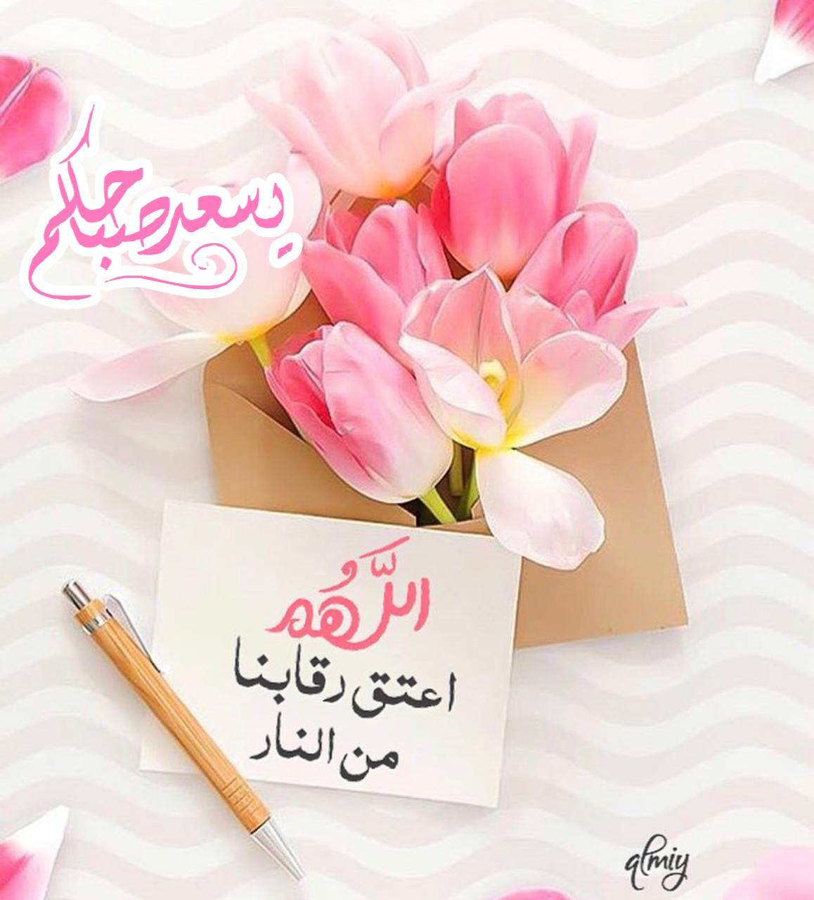 Hamido Profile Picture