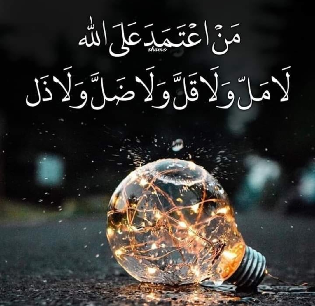 Sayed Omara Cover Image