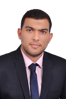 mahmood kamel profile picture