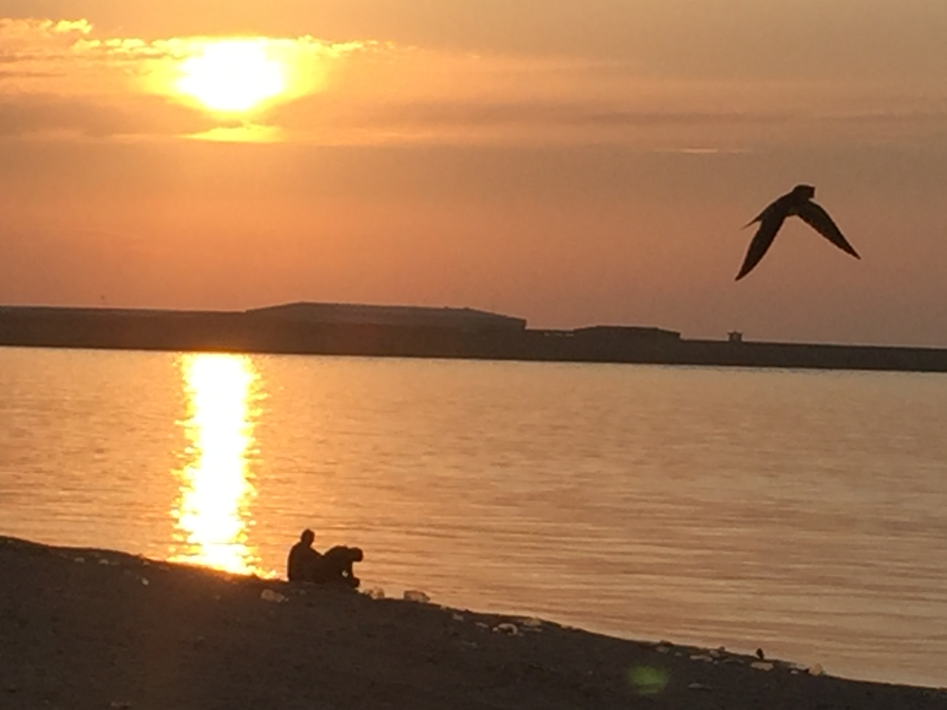 Ahmedzaid Profile Picture