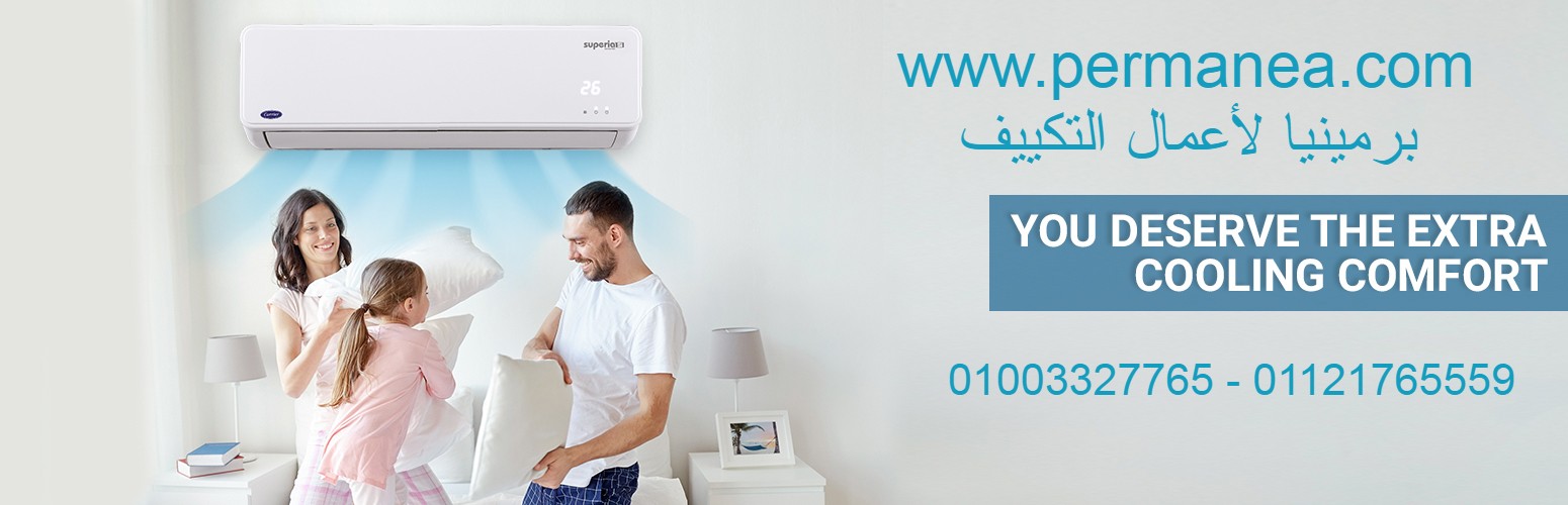 permanea Profile Picture