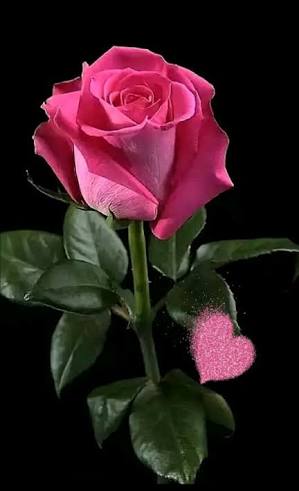 Ahmedkassab Profile Picture