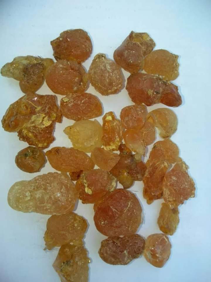 mjahmed Profile Picture