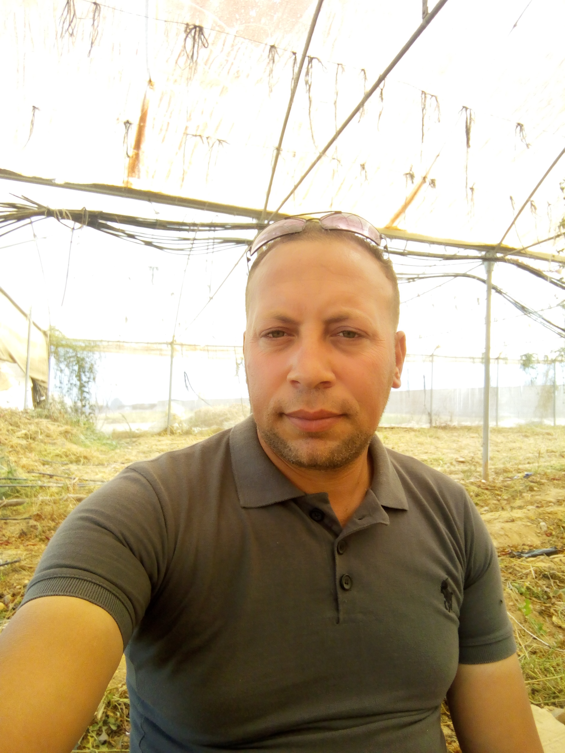 sayedhamed17 Profile Picture