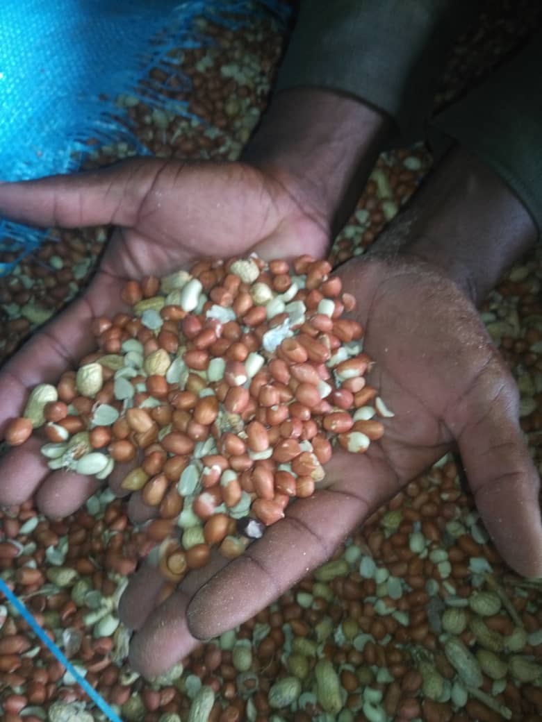 Eltyeb Profile Picture