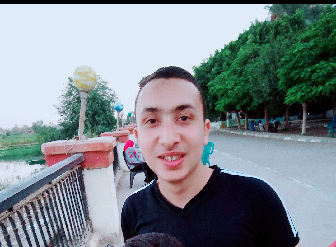 mostafa011 Profile Picture