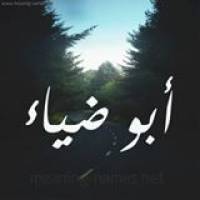 AbuDiaa Profile Picture