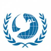 Amrahmed0 Profile Picture