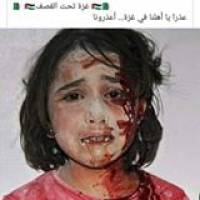 Belkhir Henida Profile Picture