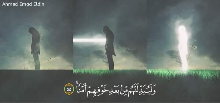 FatmaTohamy Profile Picture