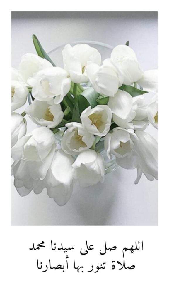 Shpearl Profile Picture