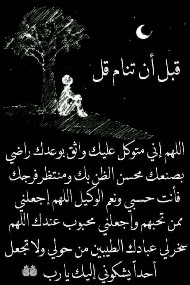 Mohamedgamalomr Profile Picture