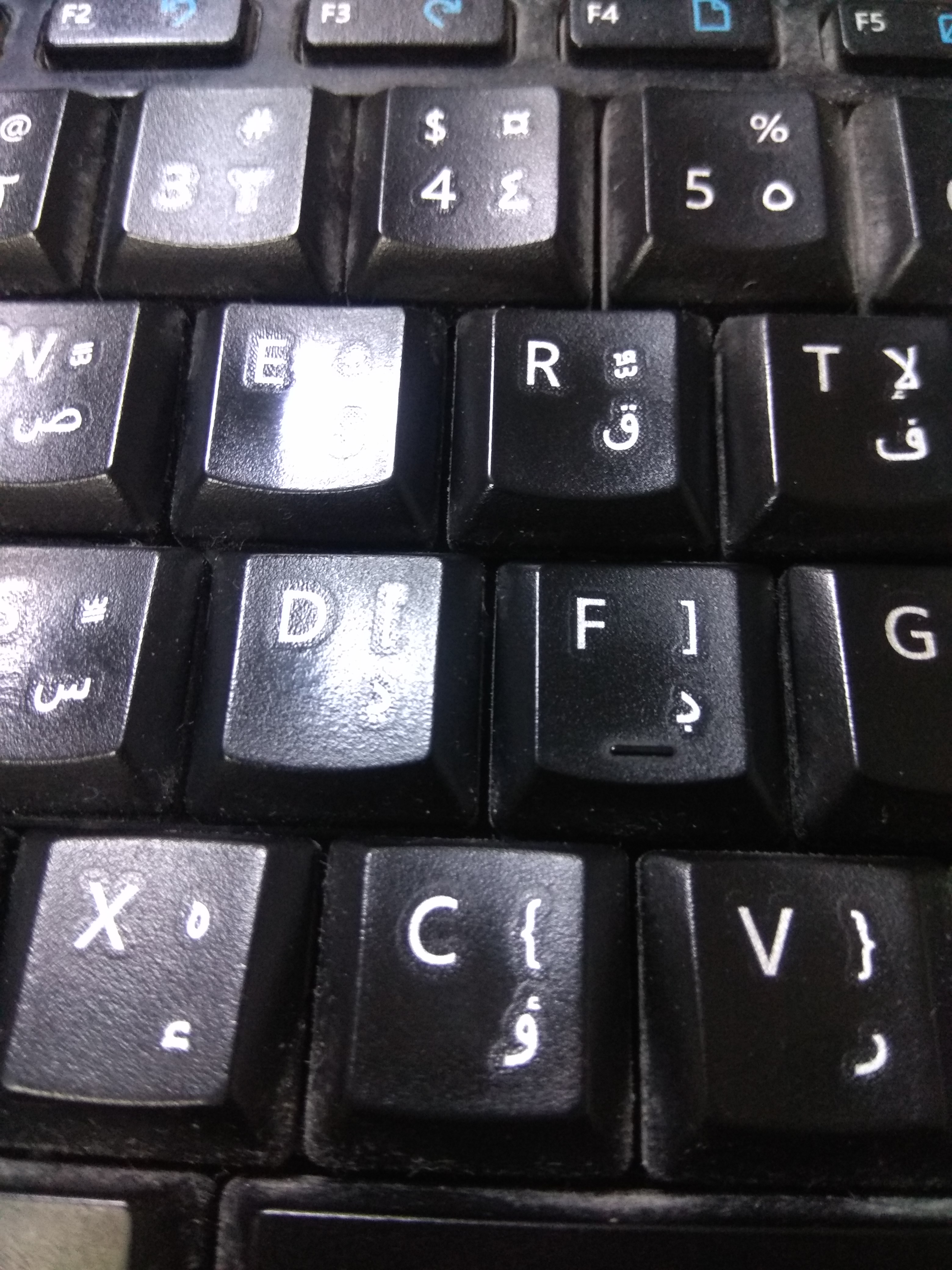 TAREKELBHERY Profile Picture